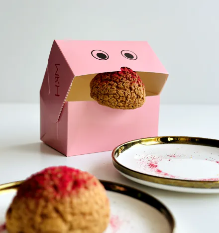 Printed cardboard packaging — Sabona project